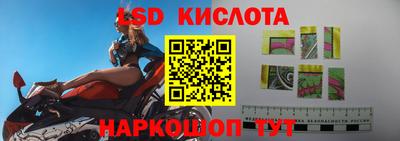 стафф Краснодар