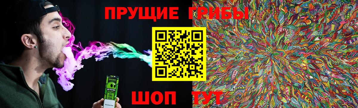 Галлюциногенные грибы GOLDEN TEACHER Каспийск