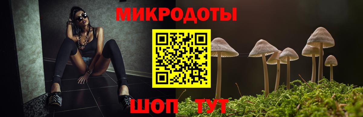 Каспийск  Галлюциногенные грибы Magic Shrooms  Вход с VPN 
